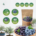 Premium Sweet Fruit Seeds for Your Home Garden