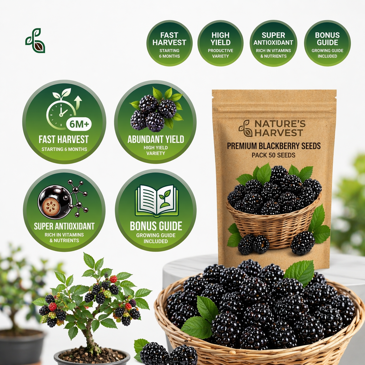 Premium Sweet Fruit Seeds for Your Home Garden