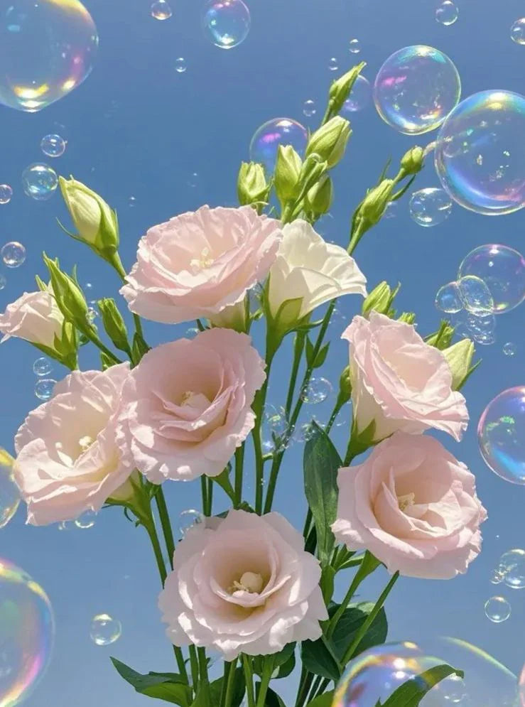 💐Lisianthus – Timeless Beauty, Everlasting Love