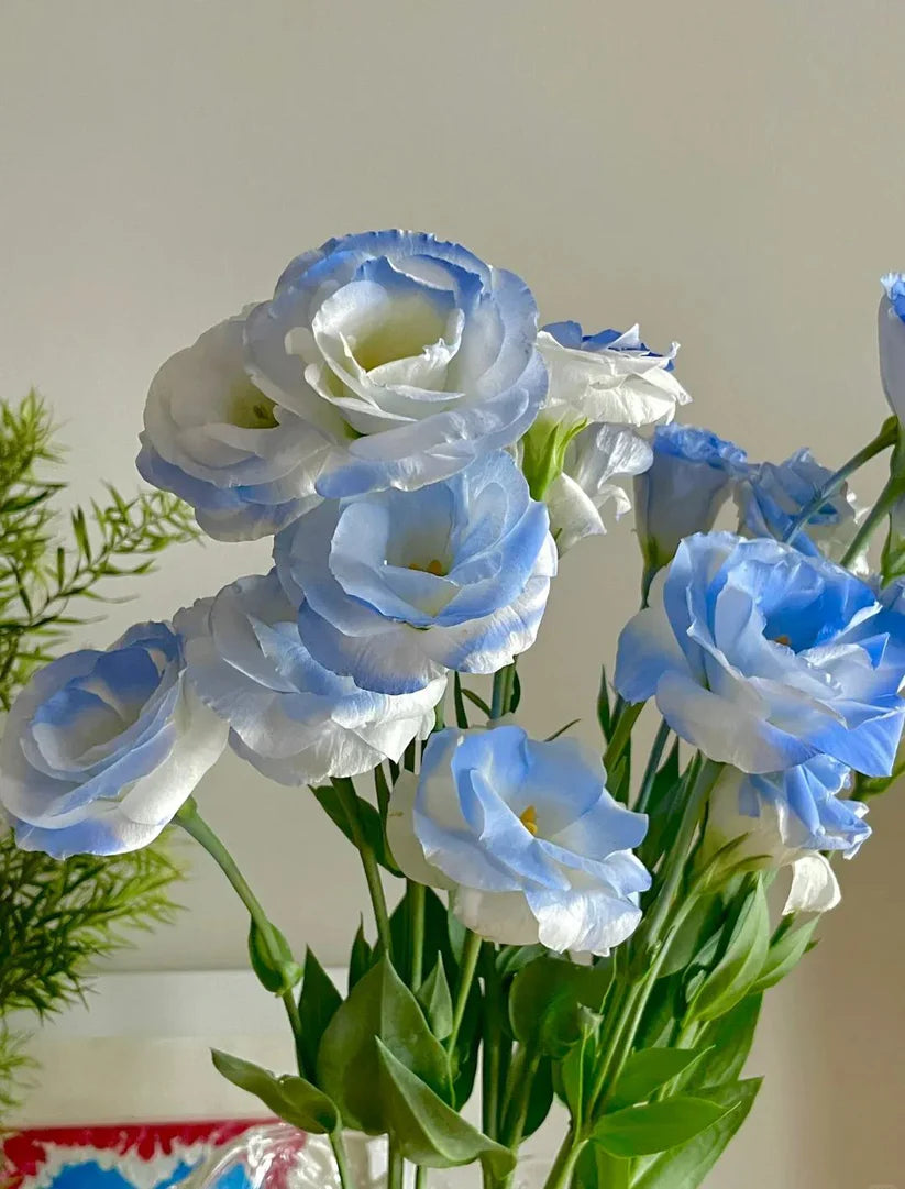 💐Lisianthus – Timeless Beauty, Everlasting Love