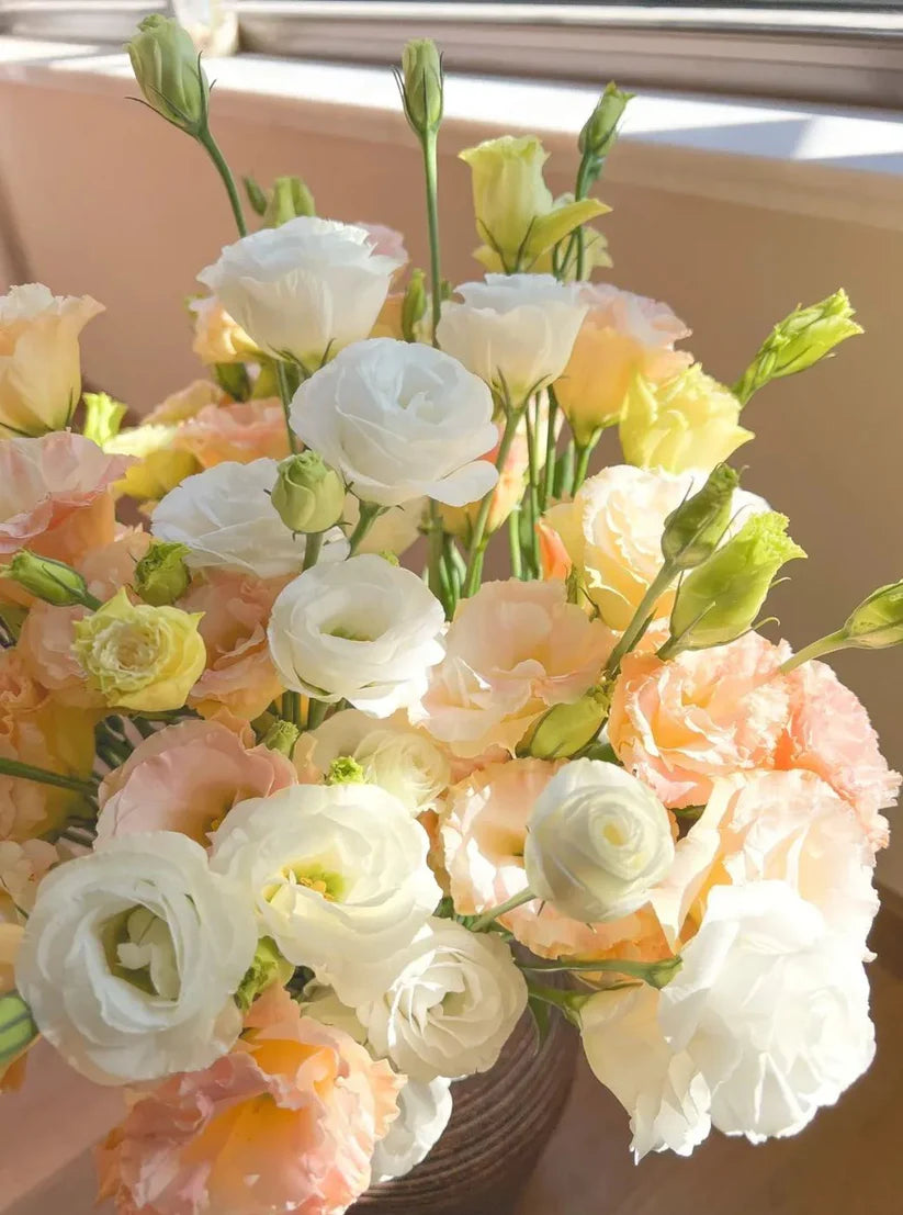 💐Lisianthus – Timeless Beauty, Everlasting Love