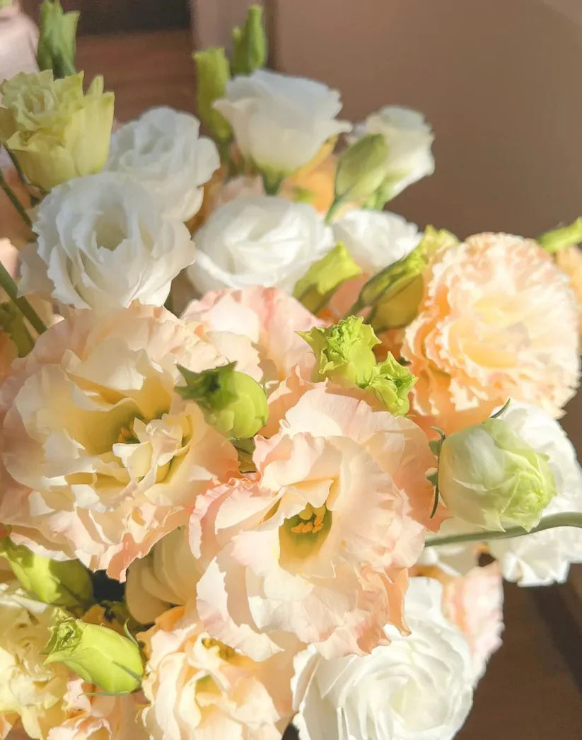 💐Lisianthus – Timeless Beauty, Everlasting Love
