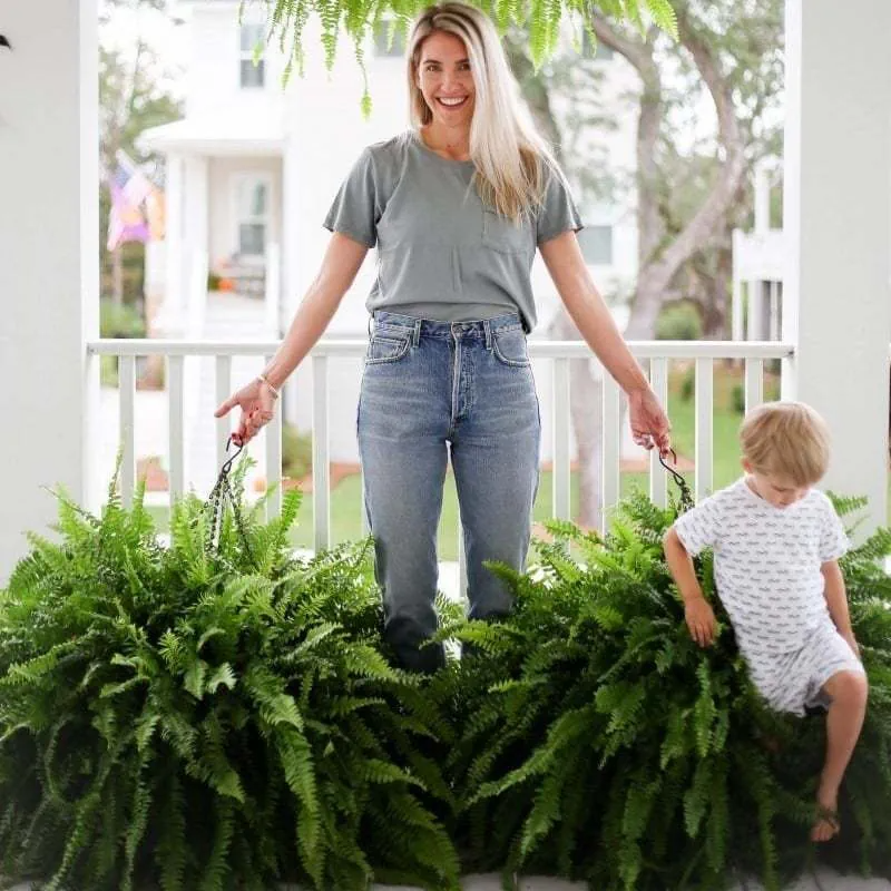 UV-Resistant Lifelike Artificial Boston Fern